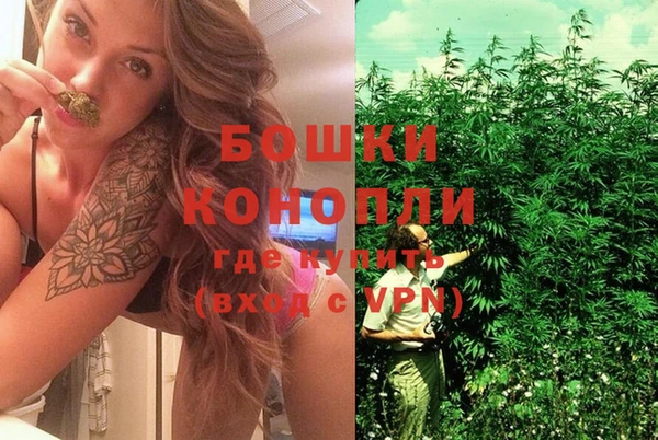 ешки Аркадак