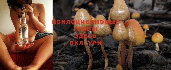 ешки Аркадак