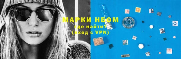 ешки Аркадак