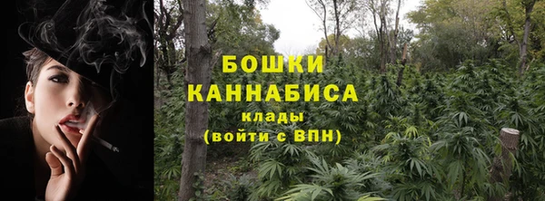 ешки Аркадак