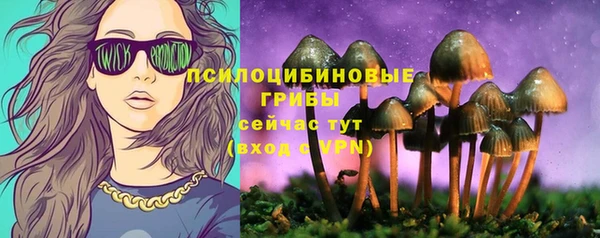 ешки Аркадак