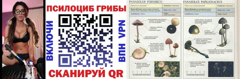 Псилоцибиновые грибы GOLDEN TEACHER  Батайск 