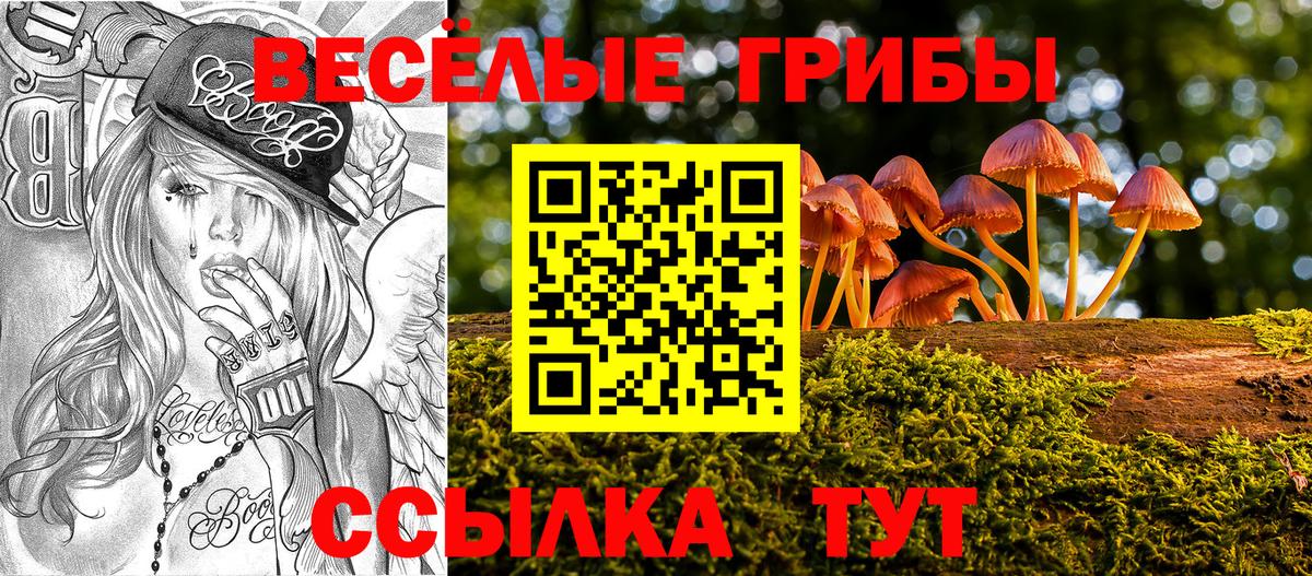 МЕФ Батайск